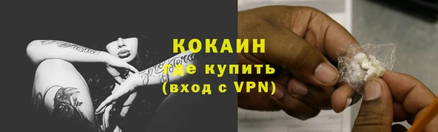 гашик Липки