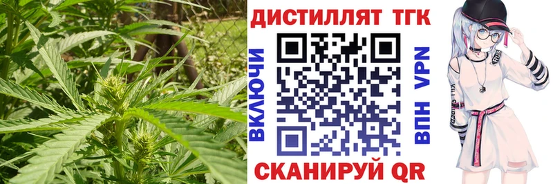 ТГК концентрат купить Лесозаводск