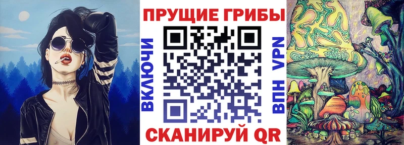 как найти закладки  Лесозаводск  Псилоцибиновые грибы Cubensis 